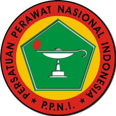 PPNI Kabupaten Bangka Selatan